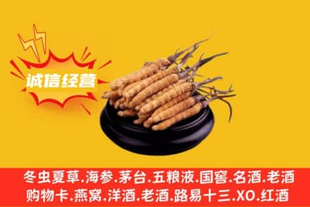 宜昌市点军回收冬虫夏草